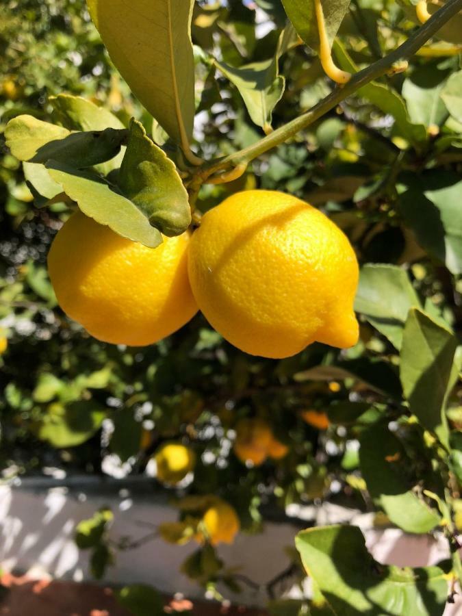 Limonero Bnb Gualchos ภายนอก รูปภาพ